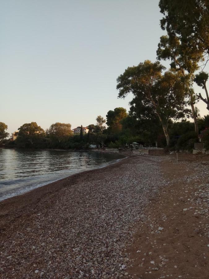 Petalidi Fragkos Apartment ภายนอก รูปภาพ